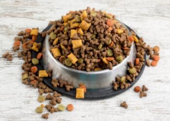 Türkiye dünyanın mama gereksinimini karşılıyor