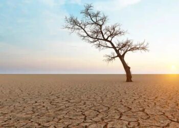 Türkiye’nin 4’te 3’ü Kalıcı Kuraklığa Sürükleniyor