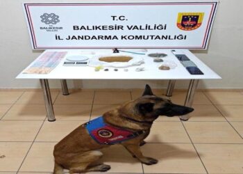 Uyuşturucu Operasyonunda Bir Şüpheli Yakalandı