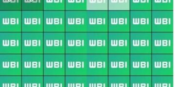 WhatsApp’a Yeni Bir Özellik Daha Geliyor!