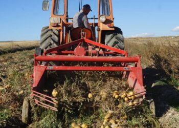 Yağışlar Çiftçilerin Yüzünü Güldürüyor