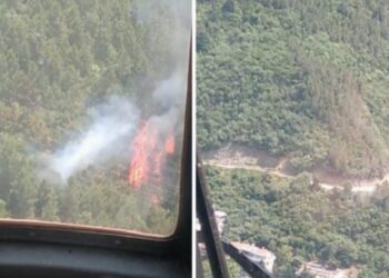 Yalova Çınarcık’taki orman yangını korkuttu