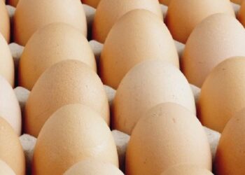 Yumurtacılardan ‘yasak’ isyanı