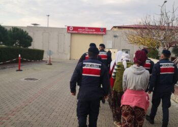 Zeytin Çalan 3 Kişi Tutuklandı