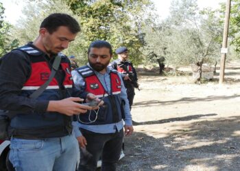 Zeytin Hırsızlıklarına Karşı Gece Gündüz Nöbet