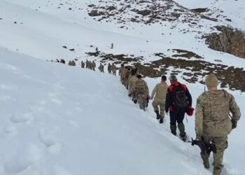 Arama Kurtarma Eğitimi Alan Güvenlik Korucuları Çığ Tatbikatı Yaptı