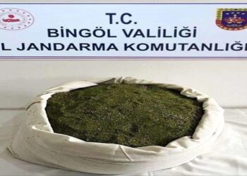 Kombilerin İçinde Esrar Ele Geçirildi