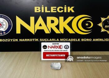 Bilecik’te Hakkında Kesinleşmiş Hapis Cezası Olan Hükümlü Yakalandı