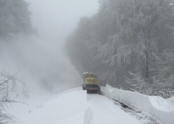 Kar Yağışı Etkisini Kaybetti: Kapalı Köy Yolları Açıldı