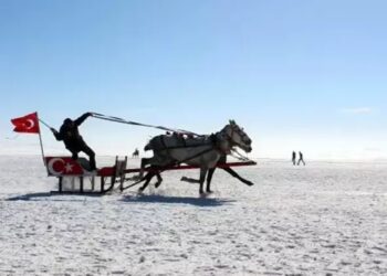Çıldır Gölü Üzerinde Nikah Kıydılar