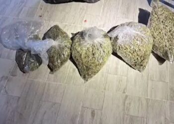 Uyuşturucu Operasyonunda 4 Zanlı Tutuklandı