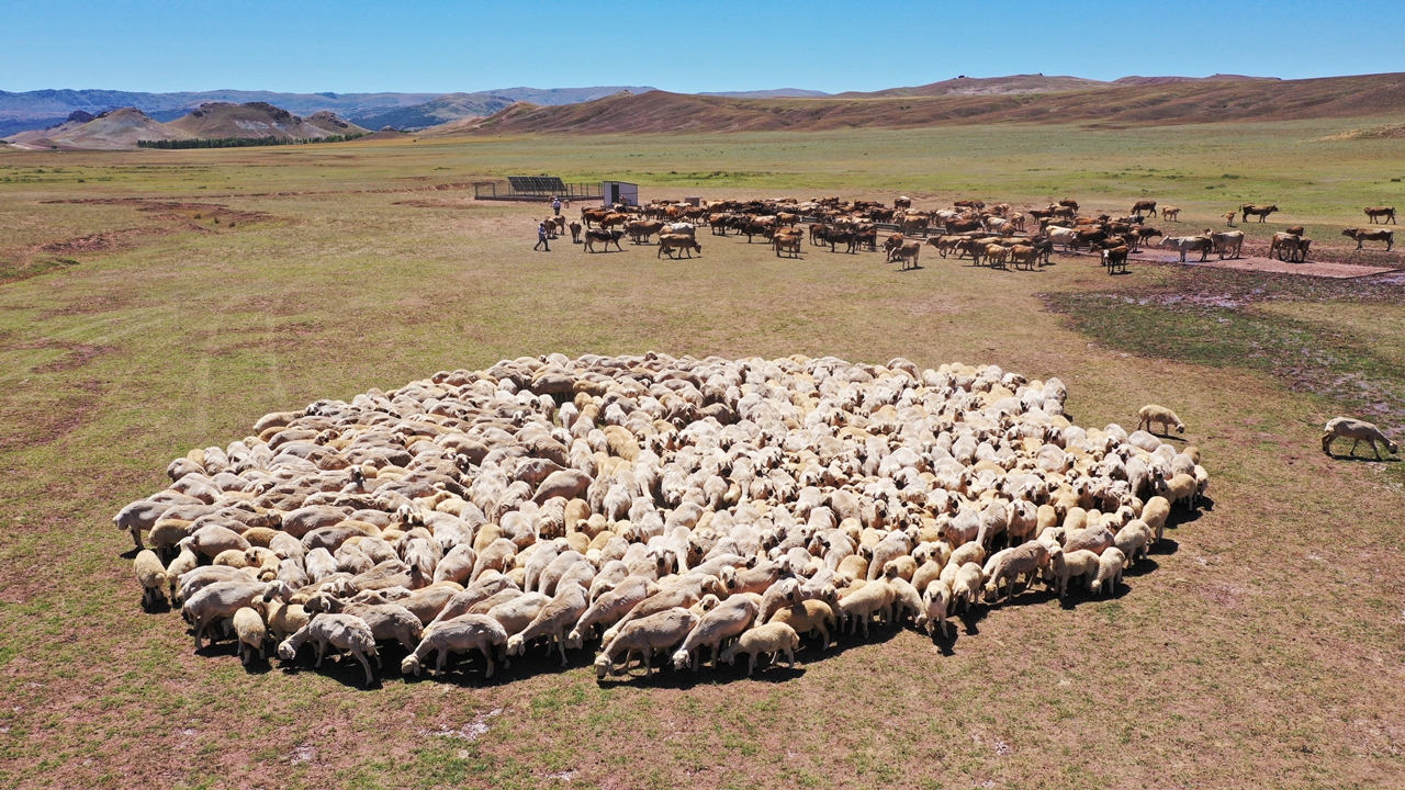 Sivas’ta 150 Bin Dekar Mera Islah Edildi