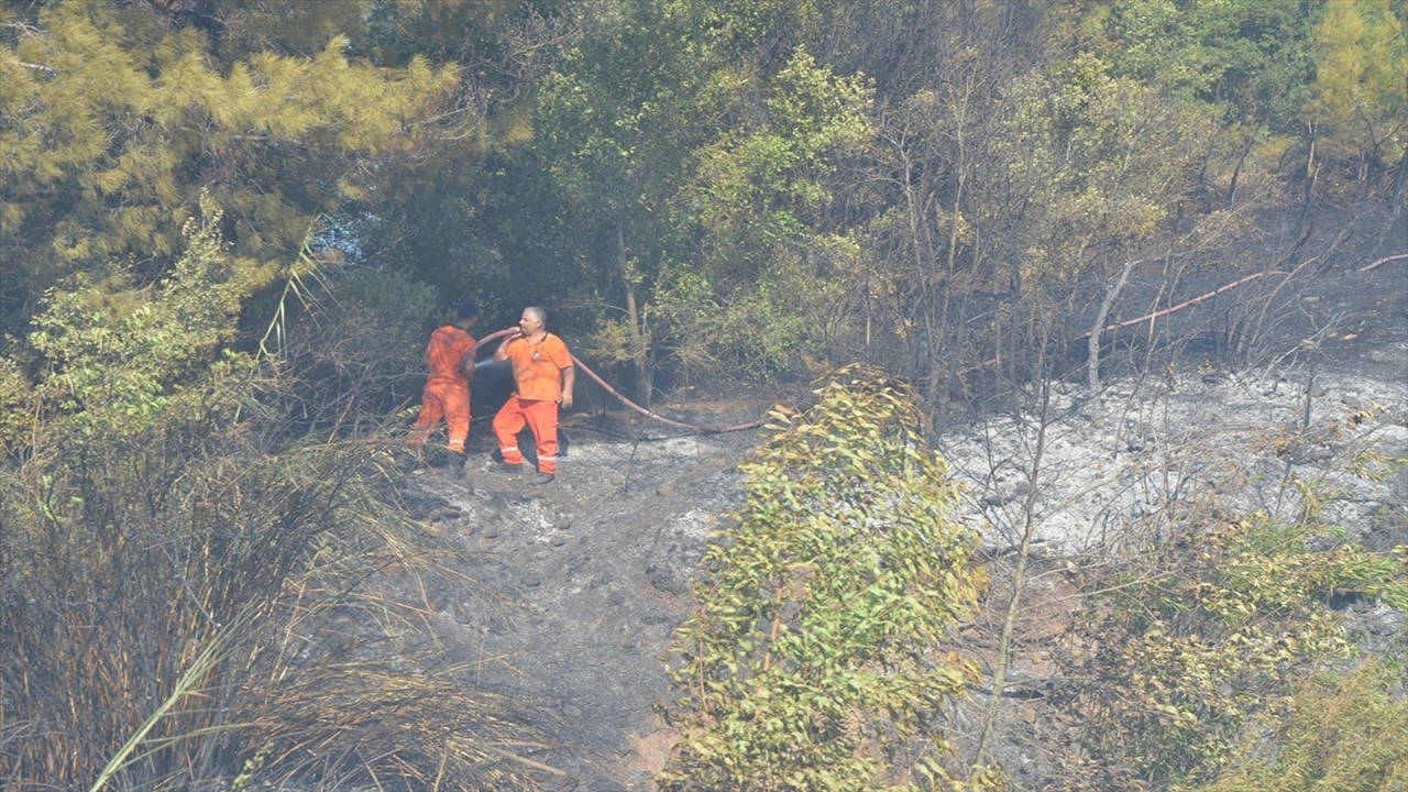 Antalya’nın Serik İlçesinde Çıkan Yangın Söndürüldü