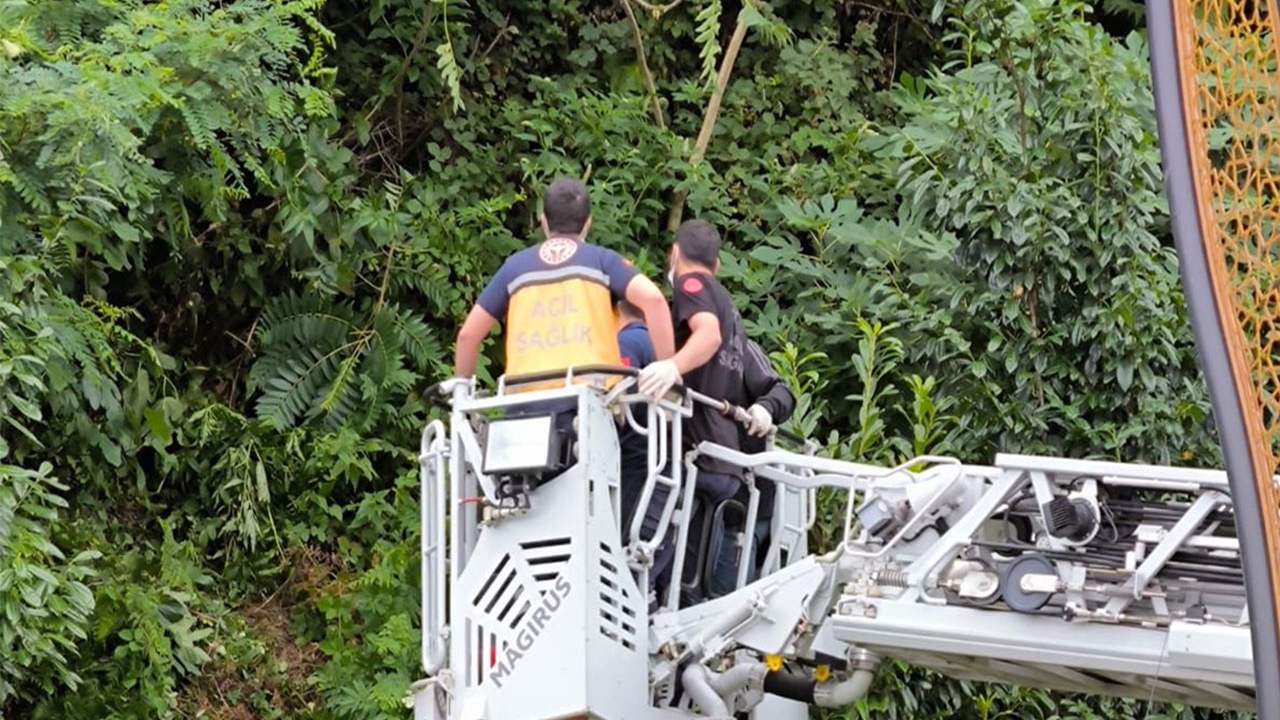 Yaşlı Adamın Cesedi Ormanlık Alanda Bulundu