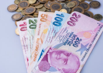 Banknot Türk Lirası ve madeni paralar