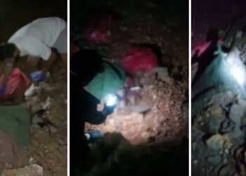 Altındağ'daki Köpek Olayı