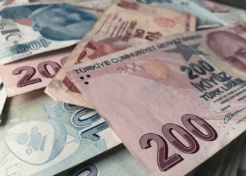 Kağıt Türk Lirası