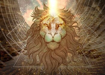 8-8-8 Aslan Portalı