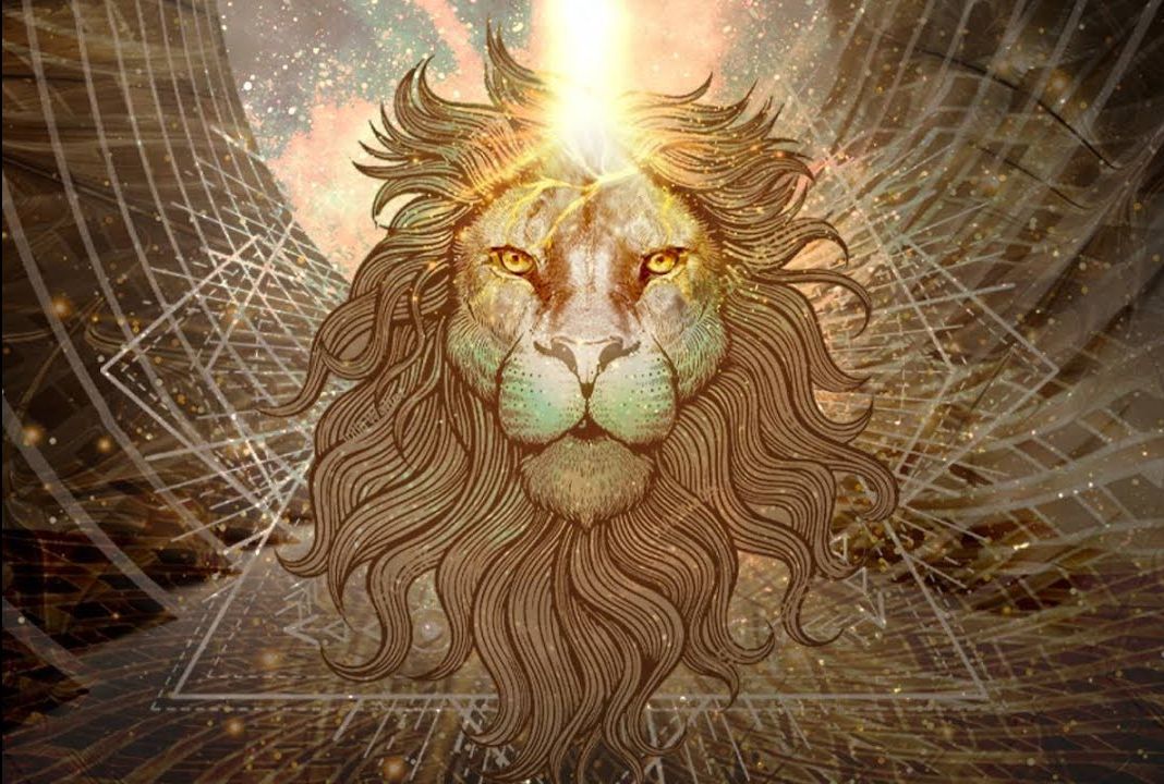 8-8-8 Aslan Portalı