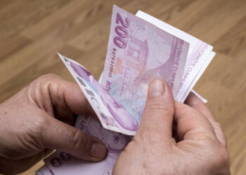 Para sayan bir kişi