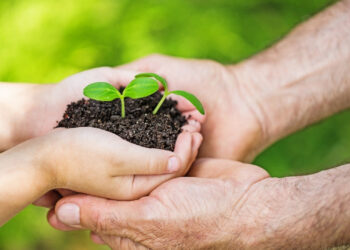Çiftçilere Tarımsal Destek Ödeme Tarihleri