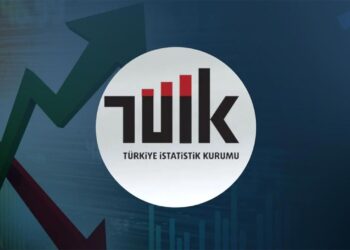 TÜİK’e Göre Doktor Muayenesi ve Veteriner Ücretleri Artmadı         