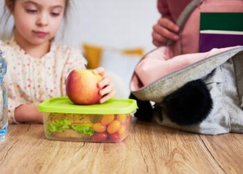 Sağlıklı Beslenme Çantası Maliyeti Aylık 2 Bin 662 Lira Oldu!