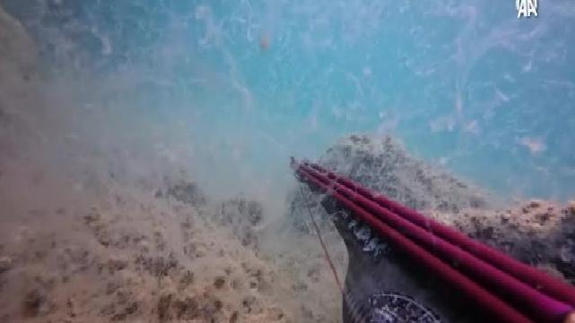 Çanakkale’de dalgıçlar müsilajın deniz dibindeki durumunu görüntüledi haberi