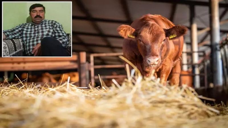 Konya’da Elektrik Akımına Kapılan Çiftçi Hayatını Kaybetti