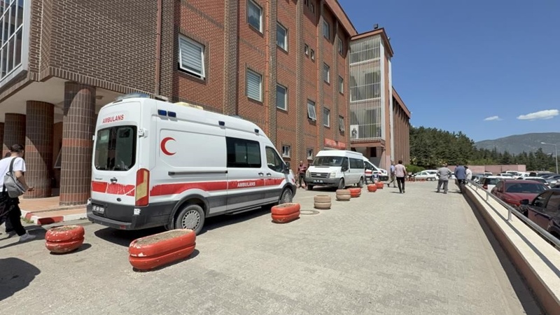 Sivas’ta Kene Isırması Sonucu 1,5 Yaşındaki Bebek Hayatını Kaybetti