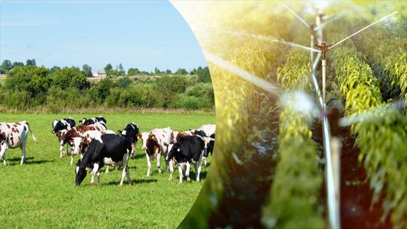 471 Milyon Liralık Tarımsal Destek Ödemesi Çiftçilerin Hesaplarına Yatırıldı