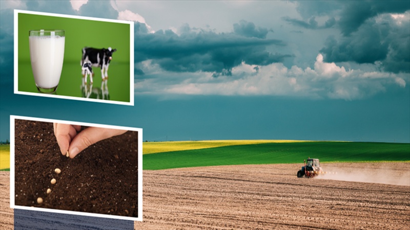 Tarımsal Destek Ödemeleri Çiftçilerin Hesaplarına Aktarıldı