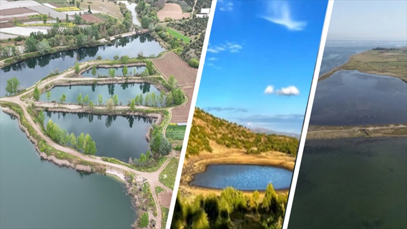 Türkiye’de Beş Yeni Sulak Alan Koruma Altına Alındı