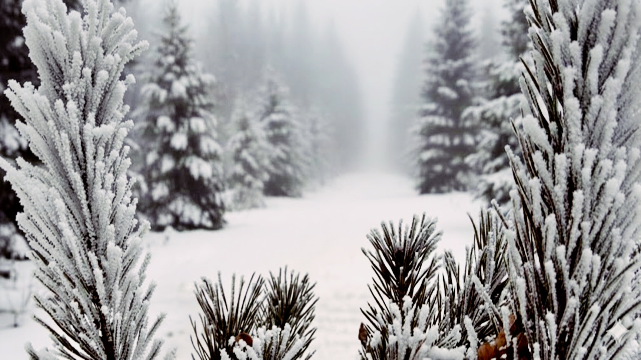 Yeni Soğuk Hava Dalgası Yolda: Kar ve Sert Kış Türkiye’ye Geliyor